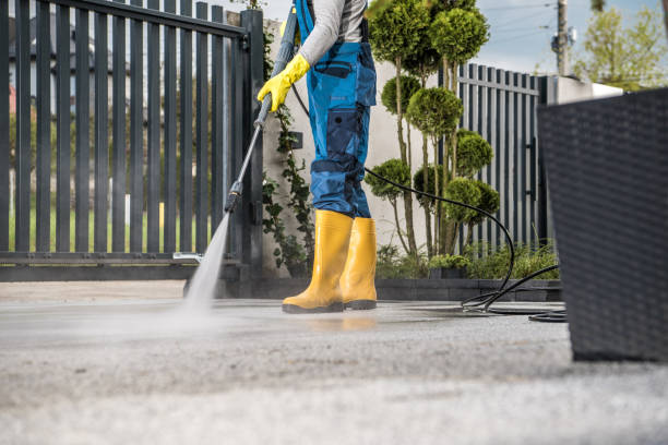 Best Animal Enclosure Cleaning  in Townsend, DE