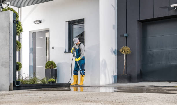 Best Paint Preparation  in Townsend, DE